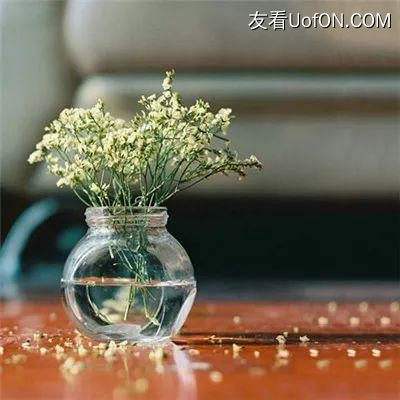 火柴人求生之路手机版下载